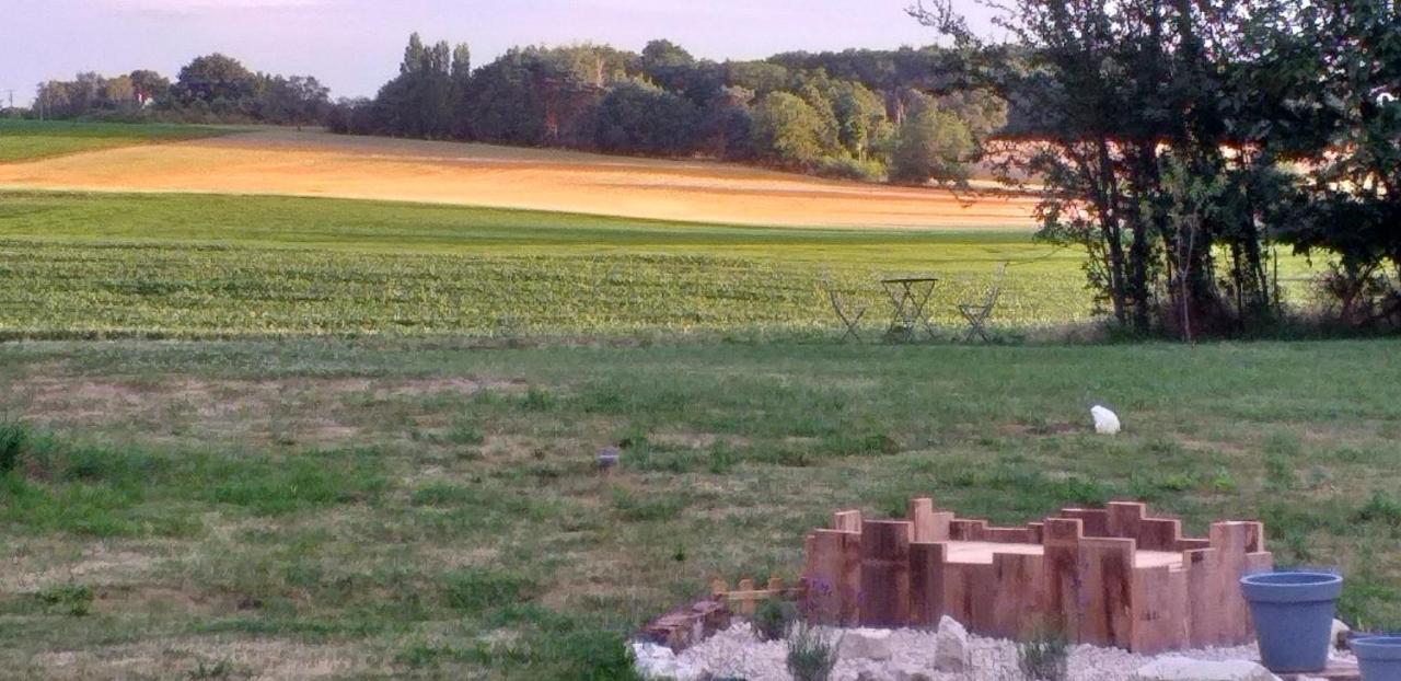 La Berrycurienne Proche Du Zoo De Beauval Saint-Aignan Avec Sdb, Wc Et Spa Privatif Pour Chaque Chambre Luçay-le-Mâle Eksteriør bilde